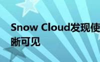 Snow Cloud发现使SaaSIaaS使用情况更清晰可见