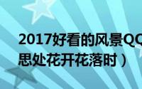 2017好看的风景QQ头像清新自然（若问相思处花开花落时）