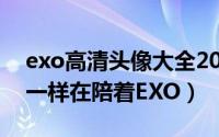 exo高清头像大全2016最新版（还有谁和我一样在陪着EXO）