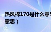 热风棉170是什么意思（热风棉100es是什么意思）