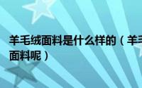 羊毛绒面料是什么样的（羊毛绒是什么面料 怎么认识羊毛绒面料呢）