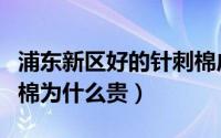 浦东新区好的针刺棉成本价（进口料做的针刺棉为什么贵）