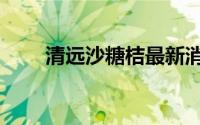 清远沙糖桔最新消息（清远沙糖桔）