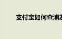 支付宝如何查浦发银行信用卡账单