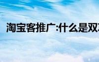 淘宝客推广:什么是双项淘宝客（怎么操作）