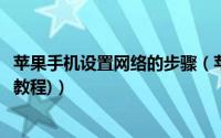 苹果手机设置网络的步骤（苹果手机怎样设置网络(新手入门教程)）