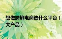 想做跨境电商选什么平台（工业跨境电商平台最受欢迎的8大产品）