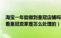 淘宝一年能做到皇冠店铺吗（淘宝创业开店的7大难题来看看皇冠卖家是怎么处理的）