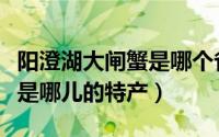 阳澄湖大闸蟹是哪个省的特产（阳澄湖大闸蟹是哪儿的特产）