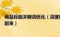 商品标题关键词优化（深度标题关键词优化网店免费流量飞起来）