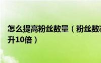 怎么提高粉丝数量（粉丝数减少有什么方法让店铺粉丝量提升10倍）