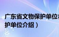 广东省文物保护单位名单（广东省省级文物保护单位介绍）