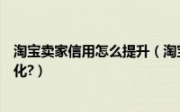 淘宝卖家信用怎么提升（淘宝卖家信用等级如何有效提升转化?）