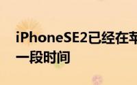 iPhoneSE2已经在苹果公司投入了相当长的一段时间