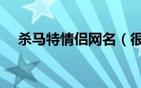 杀马特情侣网名（很受欢迎的情侣网名）