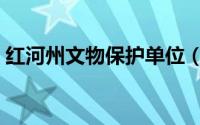 红河州文物保护单位（红河州文物古迹介绍）