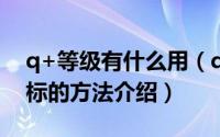 q+等级有什么用（q+等级加速及点亮q+图标的方法介绍）