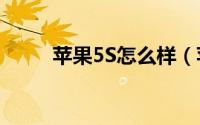 苹果5S怎么样（苹果5s配置介绍）