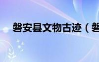 磐安县文物古迹（磐安县文物古迹介绍）