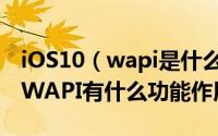 iOS10（wapi是什么意思 苹果iPhone7启用WAPI有什么功能作用）