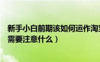 新手小白前期该如何运作淘宝店铺（淘宝开店心得分享商家需要注意什么）