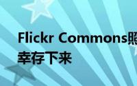 Flickr Commons照片档案将在盈利推动中幸存下来