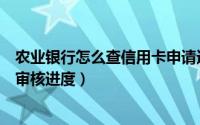 农业银行怎么查信用卡申请进度查询（怎么查询农行信用卡审核进度）