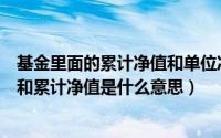 基金里面的累计净值和单位净值是什么意思（基金单位净值和累计净值是什么意思）