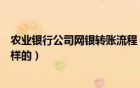 农业银行公司网银转账流程（农业银行网上转账的流程是怎样的）