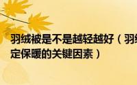 羽绒被是不是越轻越好（羽绒被是不是越厚越好厚是不是决定保暖的关键因素）