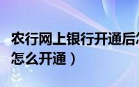 农行网上银行开通后怎么使用（农行网上银行怎么开通）