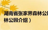 湖南省张家界森林公园简介（湖南省国家级森林公园介绍）