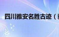 四川雅安名胜古迹（雅安市文物古迹介绍）