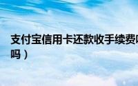 支付宝信用卡还款收手续费吗（支付宝信用卡还款收手续费吗）