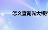 怎么查询光大银行信用卡办理进度