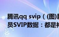 腾讯qq svip（(图)腾讯官方公布QQ超级会员SVIP数据：都是神！）