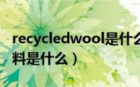 recycledwool是什么面料（Recycle PET 面料是什么）