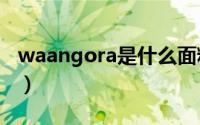 waangora是什么面料（WA是什么面料成分）