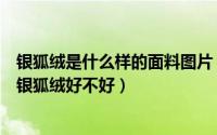 银狐绒是什么样的面料图片（银狐绒是一种什么面料什么是银狐绒好不好）