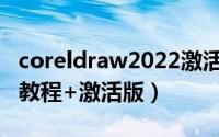 coreldraw2022激活码/序列号分享（附激活教程+激活版）