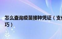 怎么查询疫苗接种凭证（支付宝微信查询疫苗接种记录的技巧）