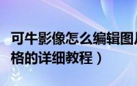 可牛影像怎么编辑图片（可牛影像设置图片风格的详细教程）