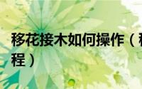 移花接木如何操作（移花接木提升工作效率教程）