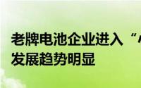 老牌电池企业进入“小”市场小动力电池行业发展趋势明显