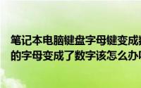 笔记本电脑键盘字母键变成数字键怎么办（笔记本键盘输入的字母变成了数字该怎么办呢）