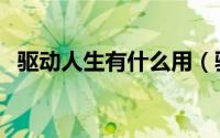 驱动人生有什么用（驱动人生的使用教程）