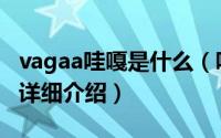 vagaa哇嘎是什么（哇嘎vagaa搜索技巧图文详细介绍）