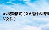 xv视频格式（XV是什么格式的文件用什么播放器可以播放XV文件）