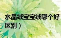 水晶绒宝宝绒哪个好（水晶绒和宝宝绒有什么区别）