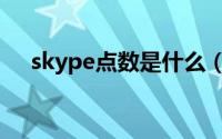 skype点数是什么（skype怎么买点数）